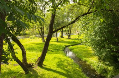 Yaz nehri manzarası