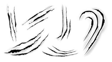 Cat claw scratches, scrapes on white paper clipart