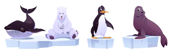 Dibujos animados animales salvajes en témpanos de hielo ballena, oso, — Vector de stock