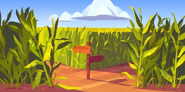 Campos de maíz verde plantas de maíz dibujos animados camino arenoso — Vector de stock