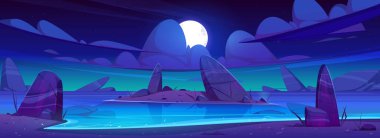 Deniz plajı ve ada geceleri kayalarla dolu.