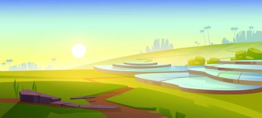 Dağlarda Asya pirinç tarlaları