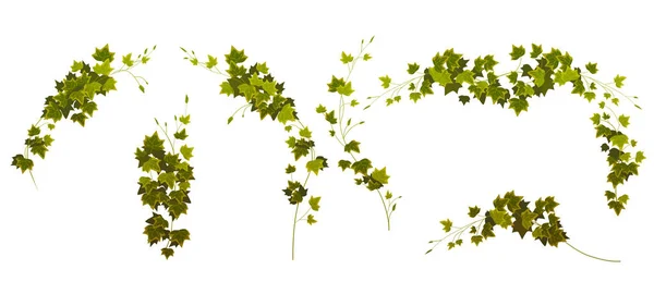 Plantas Trepadorasストックベクター ロイヤリティフリーplantas Trepadorasイラスト ページ 2 Depositphotos Plantas Trepadorasストックベクター ロイヤリティフリーplantas Trepadorasイラスト ページ 2 Depositphotos