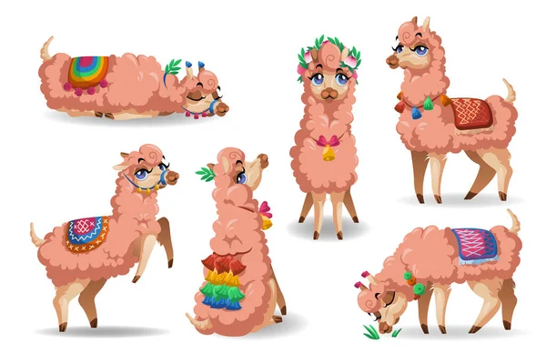 Cute llama character in different poses — Stock Vector