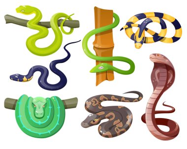 Snakes, wild tropical serpents, python and cobra clipart