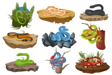 Snakes, serpents, python, black mamba vector Snakes, serpents, python, black mamba vector
