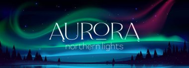 Aurora Borealis posteri, kuzey ışıkları