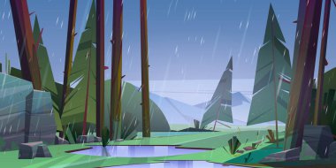 Forest at raining day scenery landscape