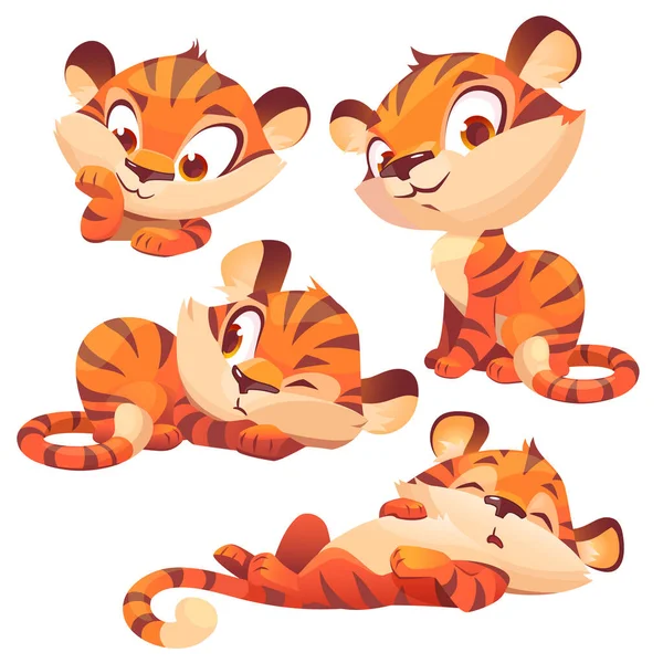 Set cartoon baby tiger, cute animal cub character — 스톡 벡터
