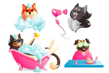 Köpek spa 'sı, bakım servisi, komik köpek yavruları seti.