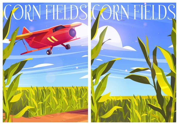 Кукурудзяні поля плакати з рослинами і червоним літаком — стоковий вектор