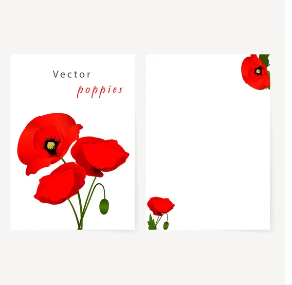 Tarjeta de la plantilla con flores rojas amapolas — Vector de stock