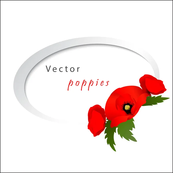 Vector witte achtergrond met papaver — Stockvector