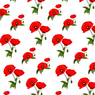 haşhaş çiçekleri ile Seamless Modeli