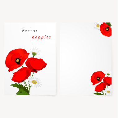 Papatya ve kırmızı çiçek haşhaş ile şablon kartı