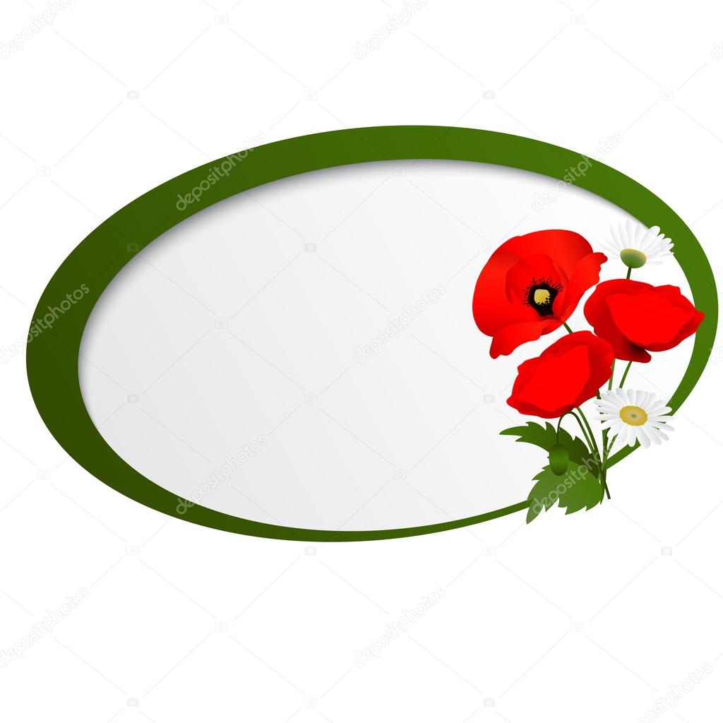 Vector white background with chamomile and red flowers poppies