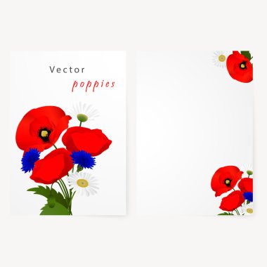 Papatya, Peygamber ve kırmızı çiçek haşhaş ile şablon kartı