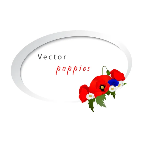 Vector witte achtergrond met kamille, korenbloemen en papavers — Stockvector