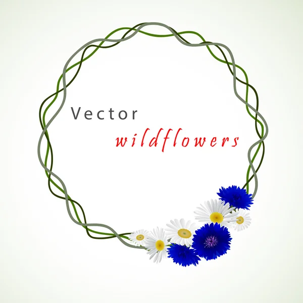Vektor weißer Hintergrund mit Kamille und Kornblumen — Stockvektor