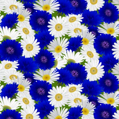Seamless pattern with flowers camomile, cornflowers  clipart