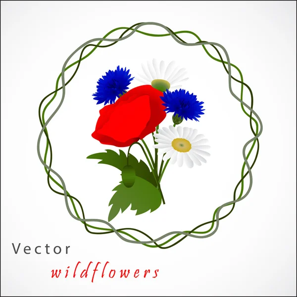 Vektor weißer Hintergrund mit Kamille, Kornblumen und Mohn — Stockvektor