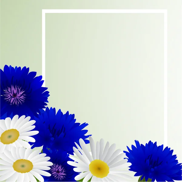 Vector fondo blanco con flores de manzanilla, acianos — Vector de stock