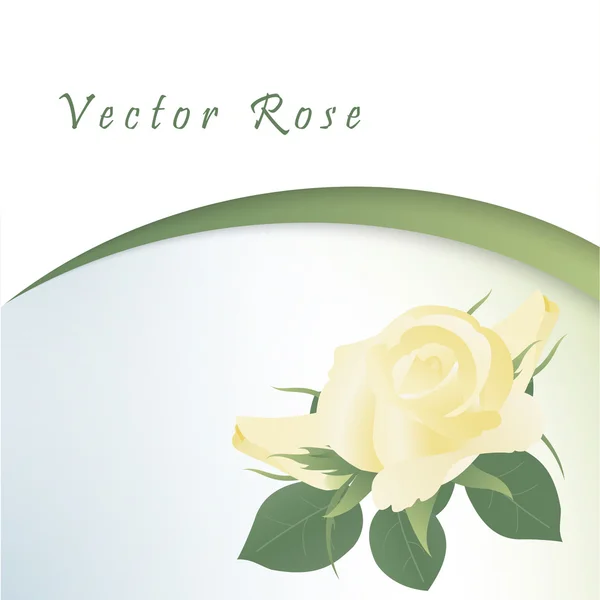 Шаблон листівки з жовтими трояндами — стоковий вектор
