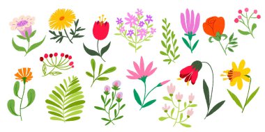Tebeşirle boyanmış pastel boya çiçekleri - el çizimi laleler, papatyalar, güller ve çocuk dostu estetik kır çiçekleri. Çocuklar için tebrik kartları ya da botanik tasarım için vektör ayarlandı
