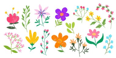 Beyaz arka planda izole edilmiş renkli pastel boya çiçekleri. El çiziminin gerçekçi temsili. Renkli tebeşir bitkileri ve çimenler, çocuksu alan, park veya çayır çizimi, okul afişi unsurları.