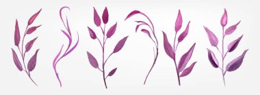 Bitkisel yaprak elementleriyle pembe suluboya yeşillik. Bahar bitkisinin narin bahçe yaprakları, sapları ve düğün dekorasyonu için klasik bitki örtüsü koleksiyonu..