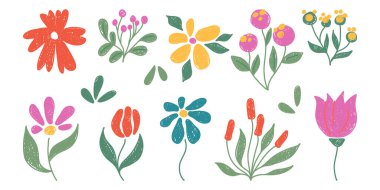 Boya kalemi çiçekleri beyaza sabitlenmiş. Şirin el çizimi pastel bitkilerin vektör çizimi, parlak renk çiçek tasarımı, botanik bahçesi veya kır çiçeği tarlası unsurları, tebrik kartı dekorasyonu