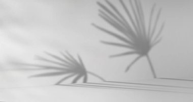 Palmiye yaprakları beyaz duvarda ve zemin zemin zemininde, gerçekçi vektör çizimi. Temiz stüdyo alanı için doğal ışık efekti, tropikal yaprak siluetleri örtüsü, ürün minimalist arkaplan