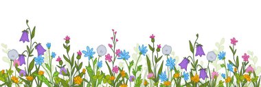 El yapımı kır çiçekleri sınırı beyaz arka planda izole edilmiş. Renkli yaz çiçeklerinin vektör karikatür çizimi, bahar bahçesi tasarımı, doğum günü kartı dekorasyonu, botanik poster elementi