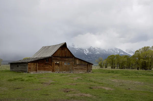 Istoric Mormon Row, Grand Teton National Park, Jackson Hole Valley, Wyoming, Statele Unite ale Americii — Fotografie, imagine de stoc