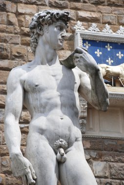 Michelangelo'nun David, Floransa - İtalya kopyası