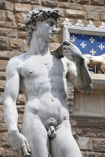 Replica of Michelangelo's David, Florence - Italy — Stock Photo, Image