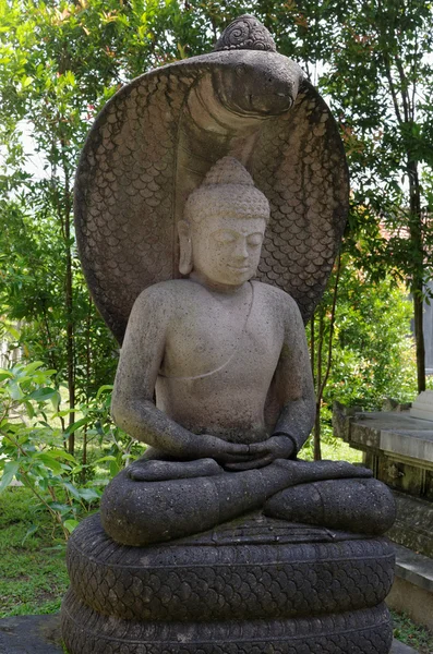 Buda amitabha heykeli — Stok fotoğraf