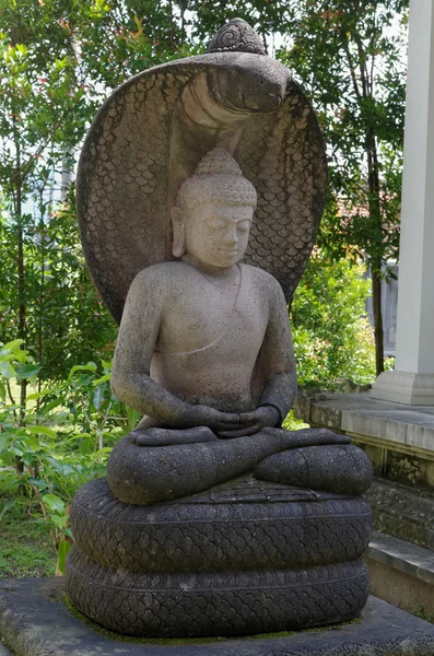 Estatua de buddha amitabha — Foto de Stock