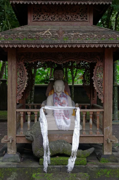 Iki Buda heykelleri — Stok fotoğraf