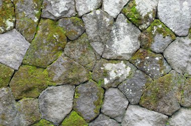 yosunlu rustik taş duvar