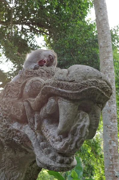 Macaco come cangrejos en estatua de dragón — Foto de Stock