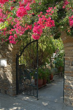 Sifnos-cyglades-Yunanistan