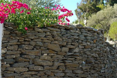 Sifnos-cyglades-Yunanistan