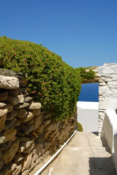 Sifnos-cyglades Grecja — Zdjęcie stockowe