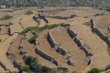 Sifnos-cyglades-Yunanistan