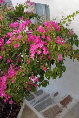 Serifos Kiklad Adaları, Yunanistan