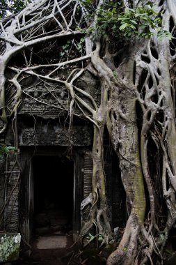 Ankor Wat clipart