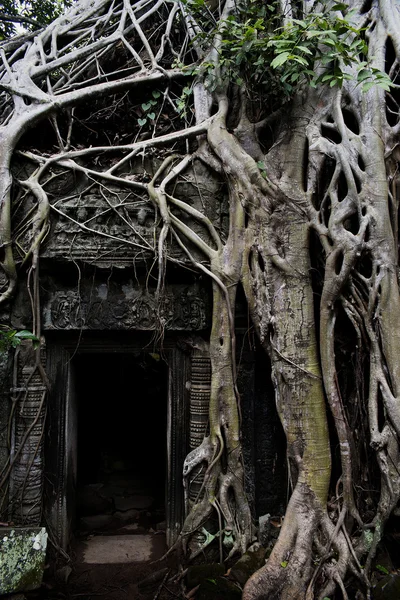 Bayon angkor templo thom — Fotografia de Stock