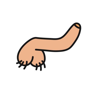 penis doodle icon, vector illustration