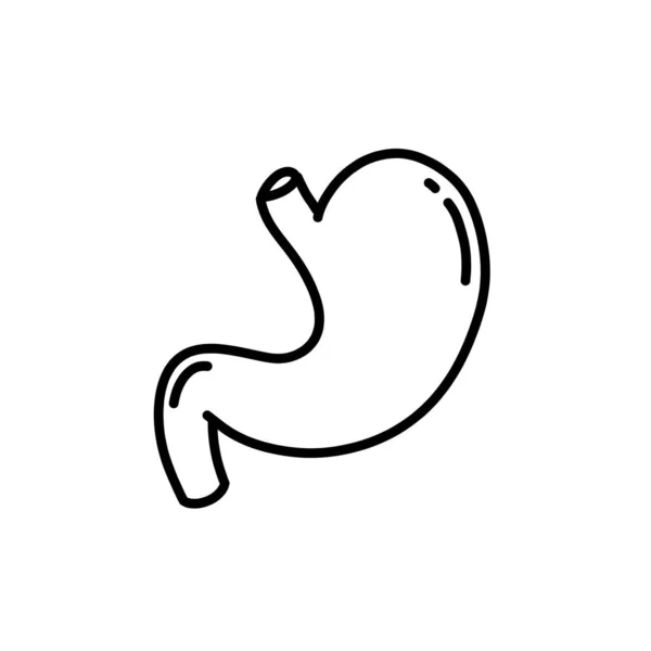 Estómago Humano Garabato Icono Vector Ilustración — Vector de stock